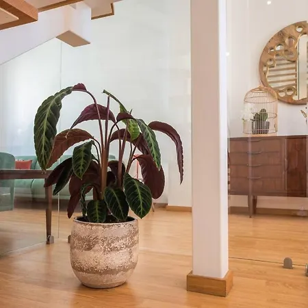 Dom Quichotte House Вилла *